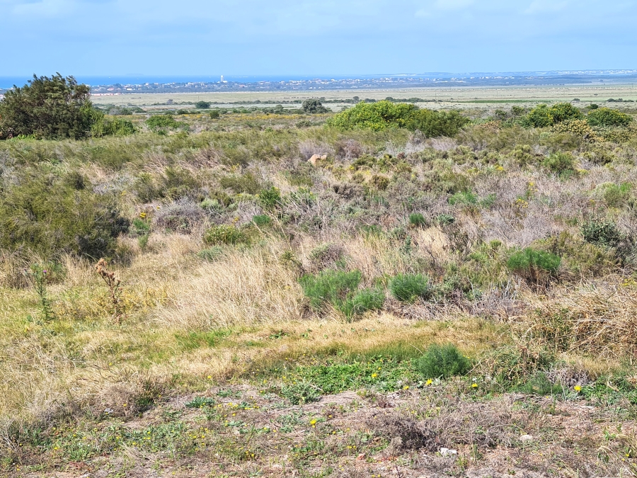 Commercial Property for Sale in Fountains Estate Eastern Cape